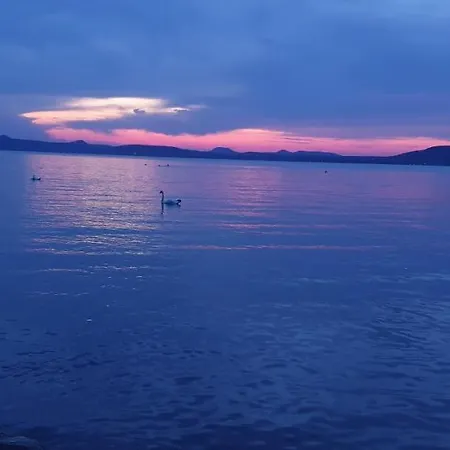 Napfeny Exclusive * 巴拉通雷勒